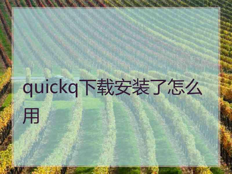 quickq下载安装了怎么用