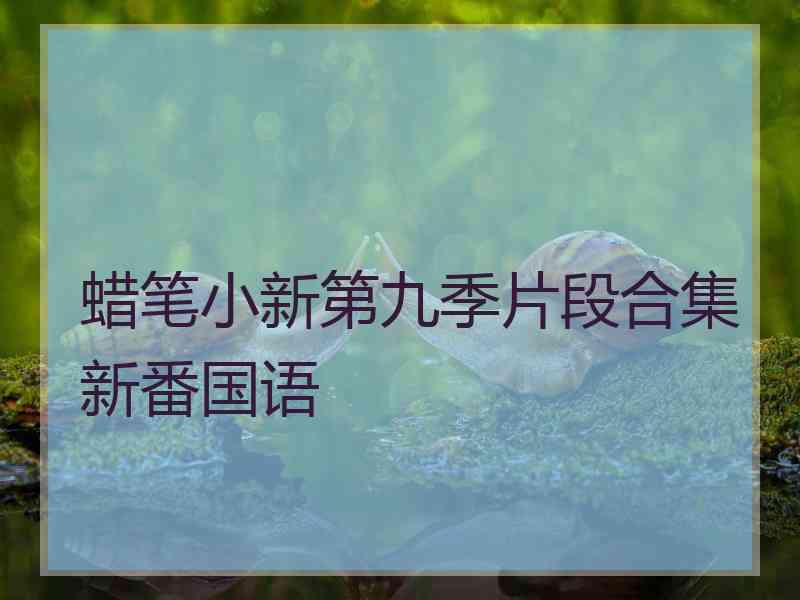 蜡笔小新第九季片段合集新番国语
