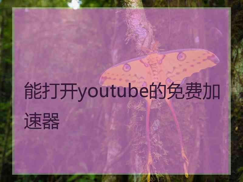 能打开youtube的免费加速器