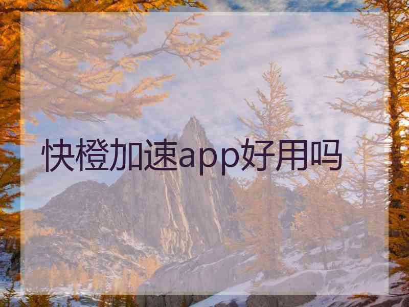 快橙加速app好用吗