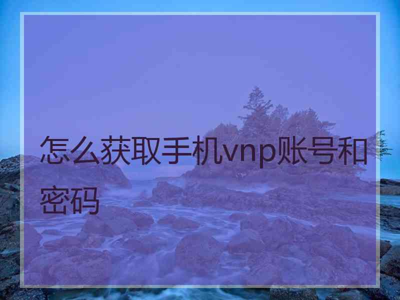 怎么获取手机vnp账号和密码