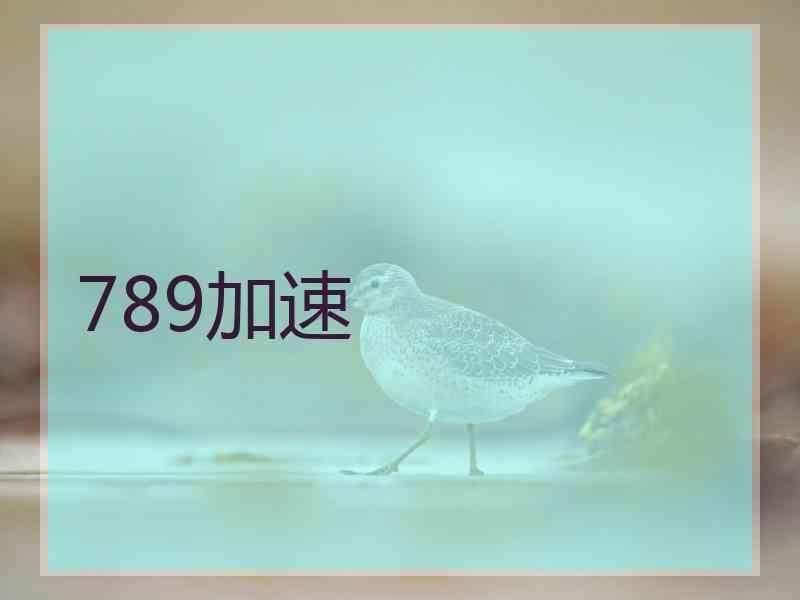 789加速