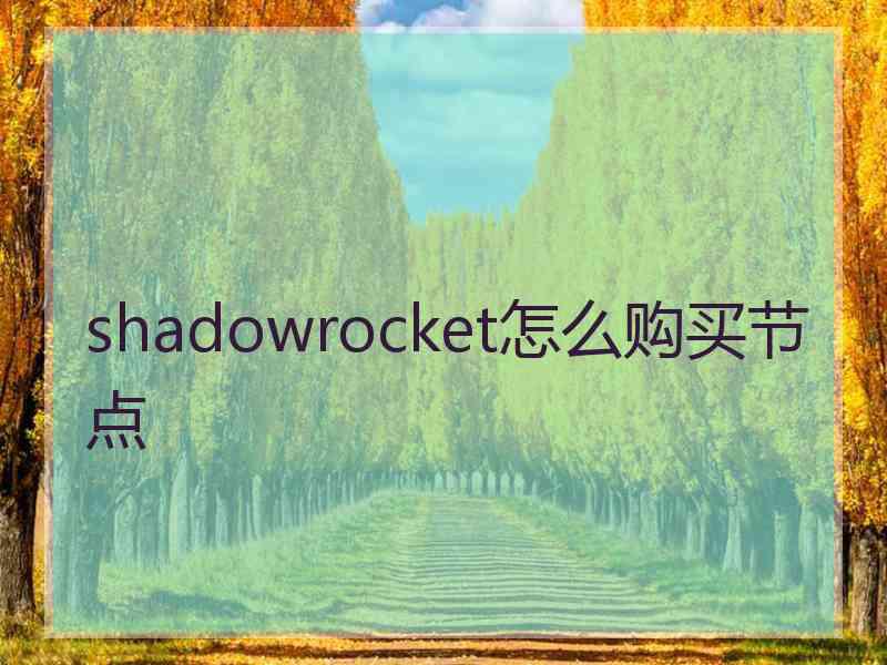 shadowrocket怎么购买节点