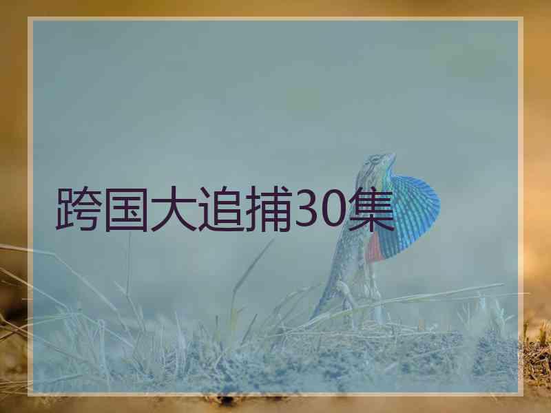 跨国大追捕30集