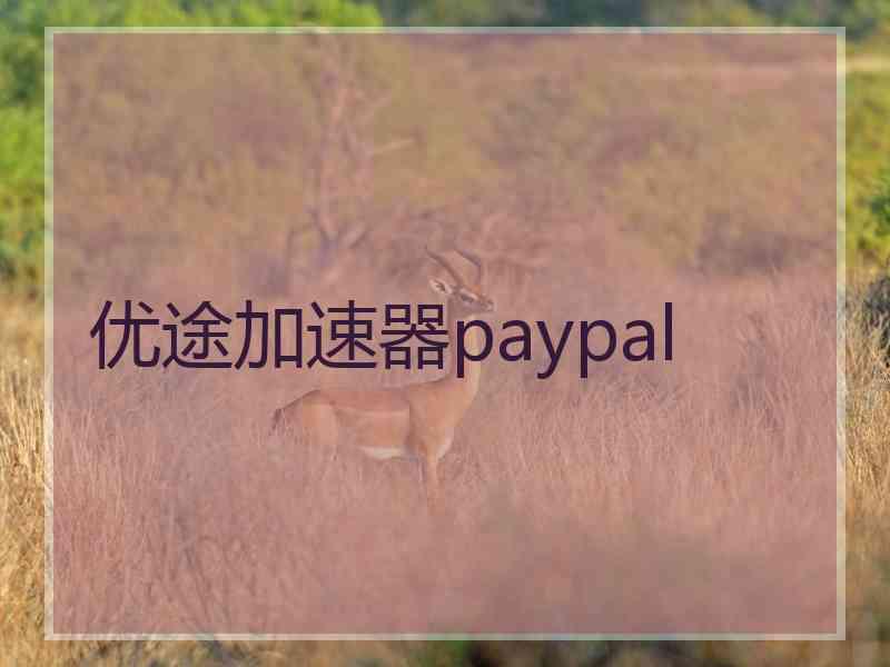 优途加速器paypal