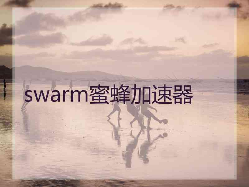 swarm蜜蜂加速器