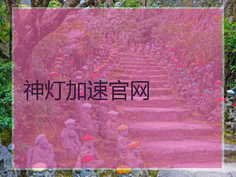 神灯加速官网