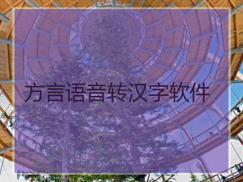 方言语音转汉字软件