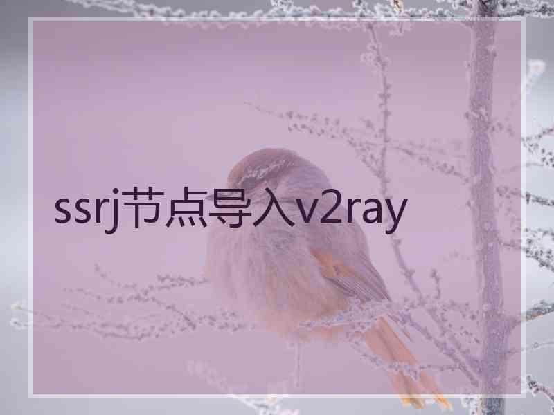 ssrj节点导入v2ray