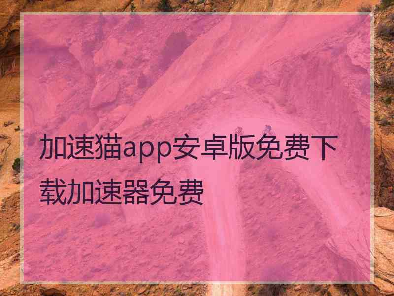 加速猫app安卓版免费下载加速器免费