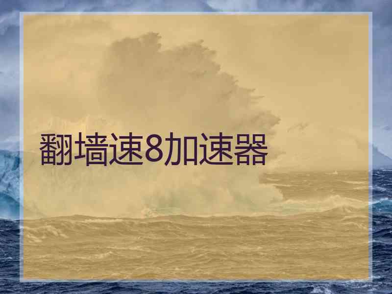 翻墙速8加速器