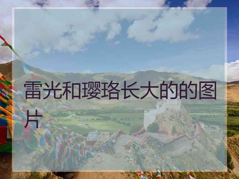 雷光和璎珞长大的的图片