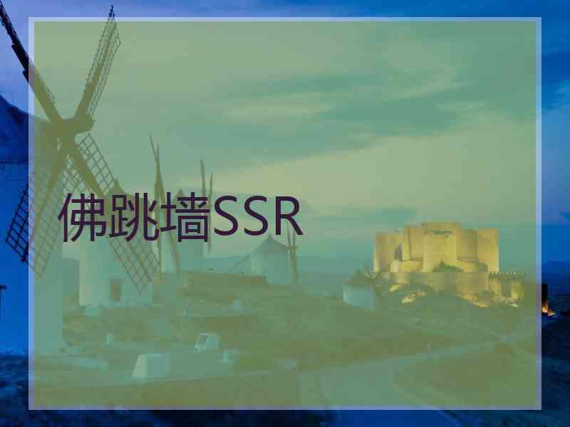 佛跳墙SSR