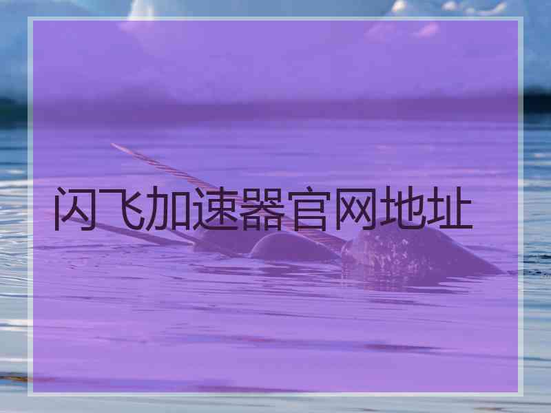 闪飞加速器官网地址
