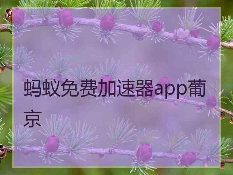 蚂蚁免费加速器app葡京