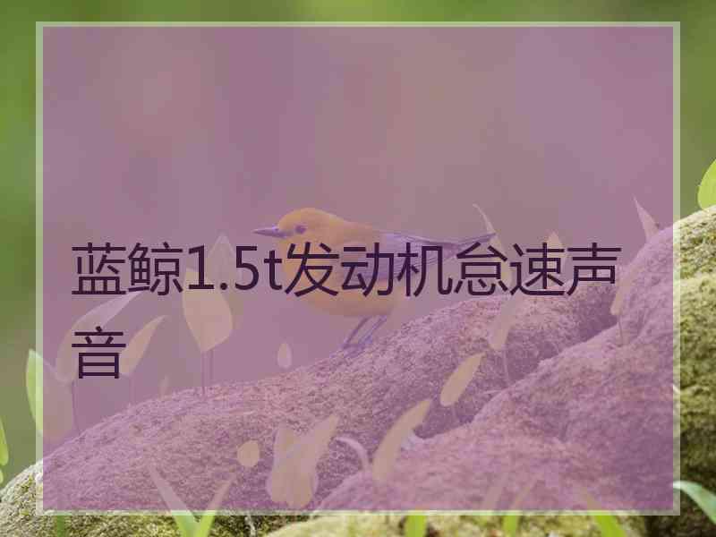 蓝鲸1.5t发动机怠速声音