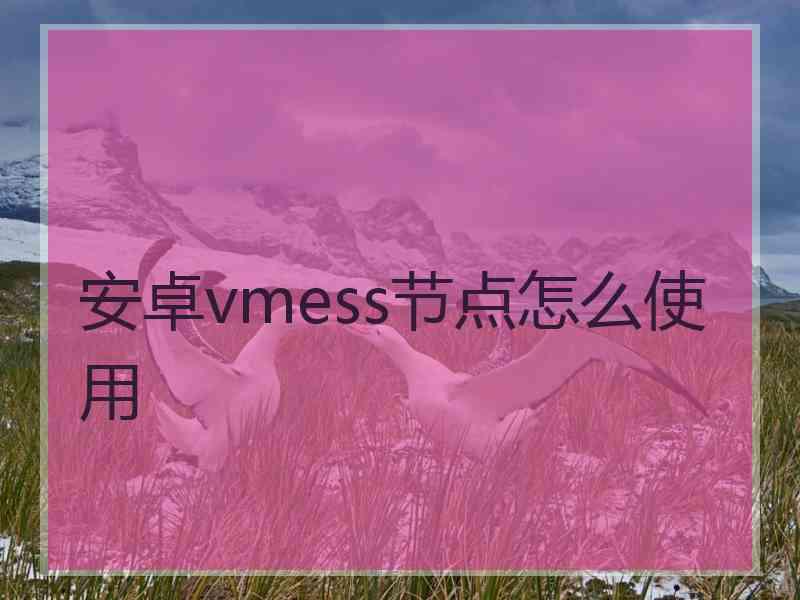 安卓vmess节点怎么使用