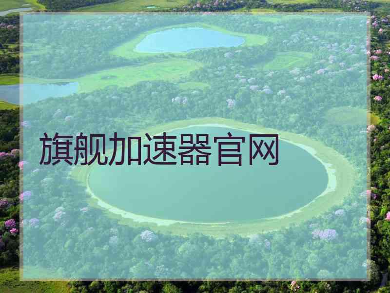 旗舰加速器官网