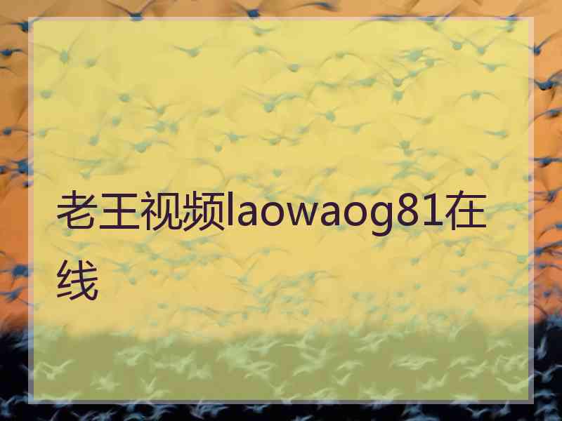 老王视频laowaog81在线