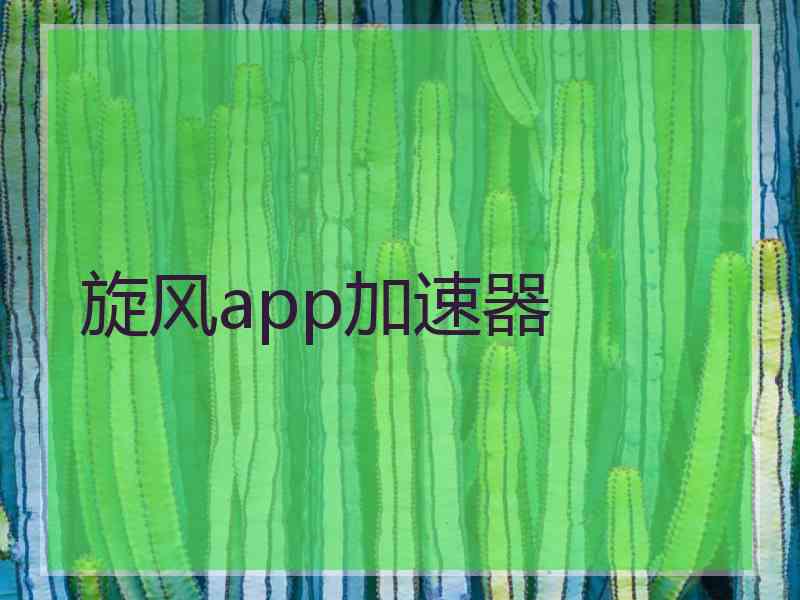 旋风app加速器