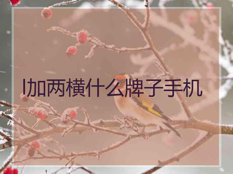 l加两横什么牌子手机