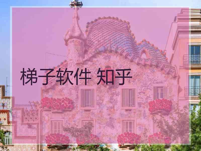 梯子软件 知乎