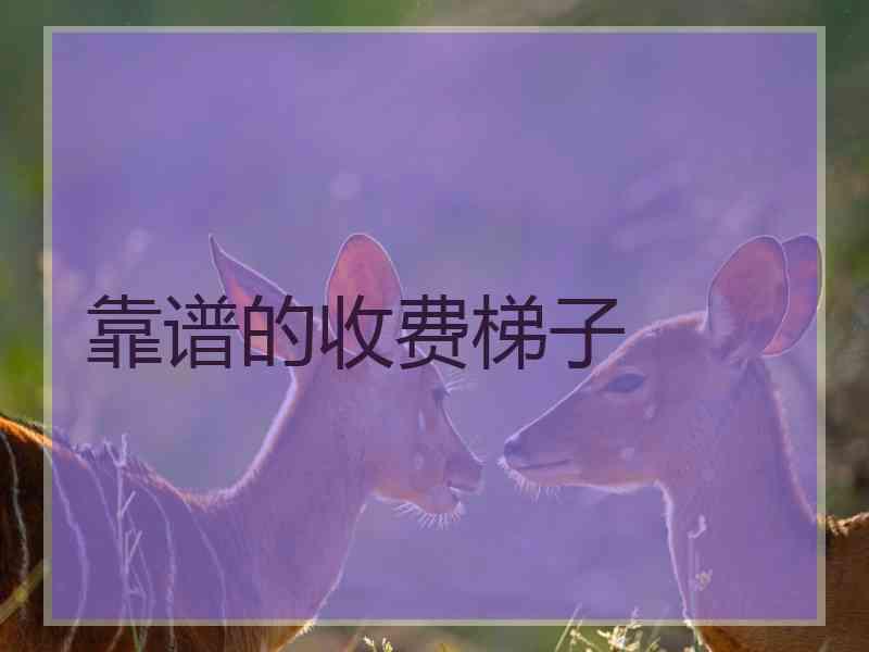 靠谱的收费梯子