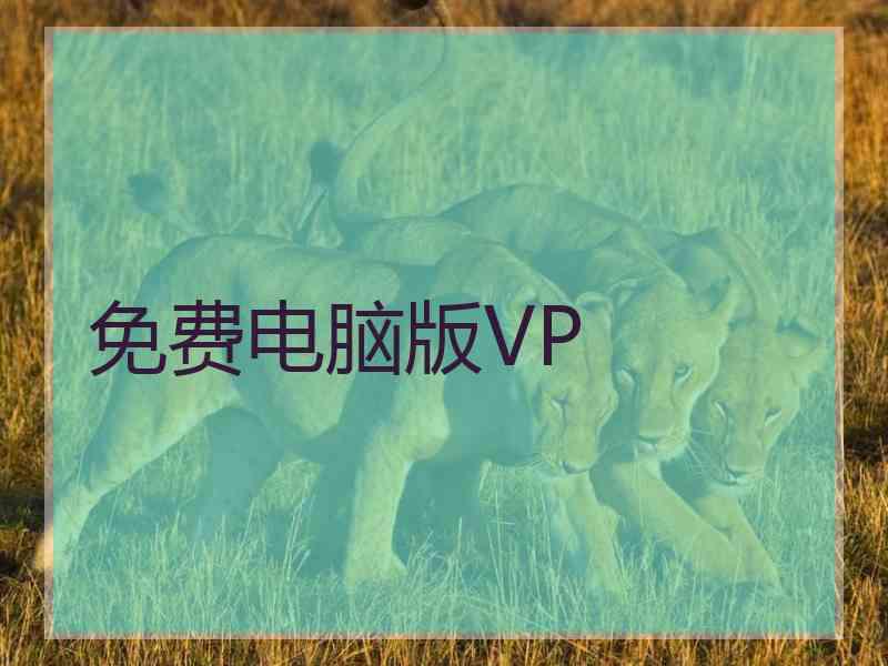 免费电脑版VP