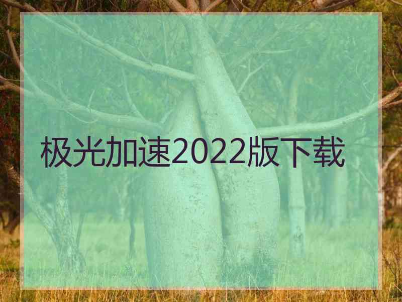 极光加速2022版下载