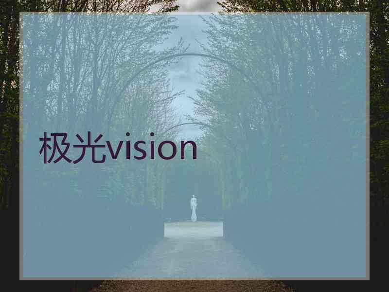 极光vision