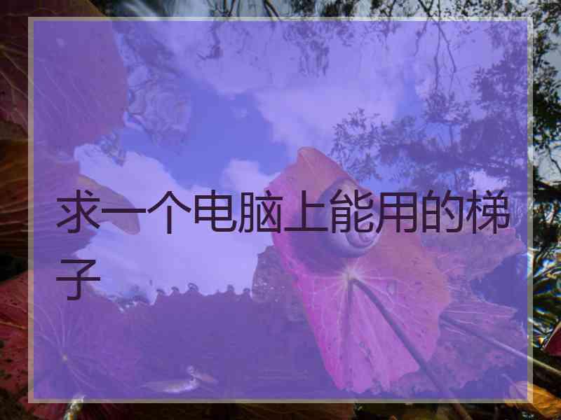 求一个电脑上能用的梯子