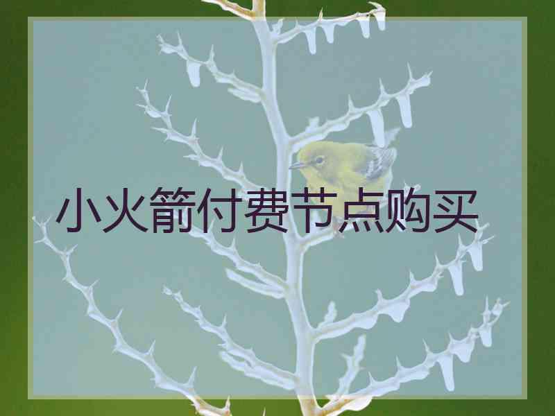 小火箭付费节点购买