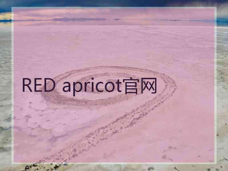 RED apricot官网