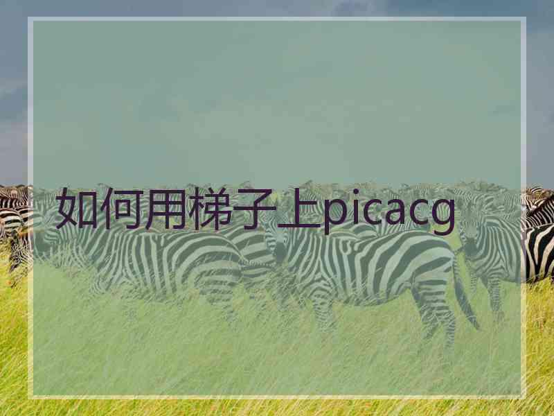 如何用梯子上picacg