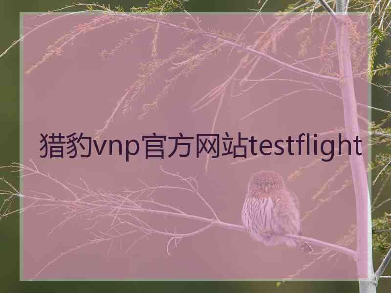 猎豹vnp官方网站testflight