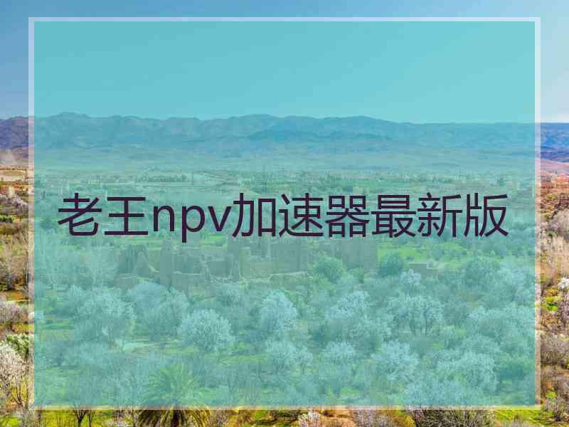 老王npv加速器最新版