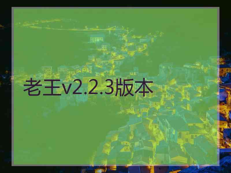 老王v2.2.3版本