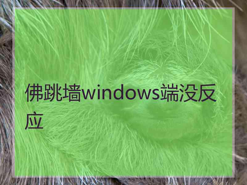 佛跳墙windows端没反应