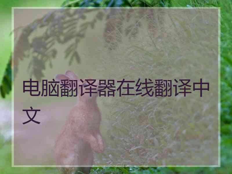 电脑翻译器在线翻译中文