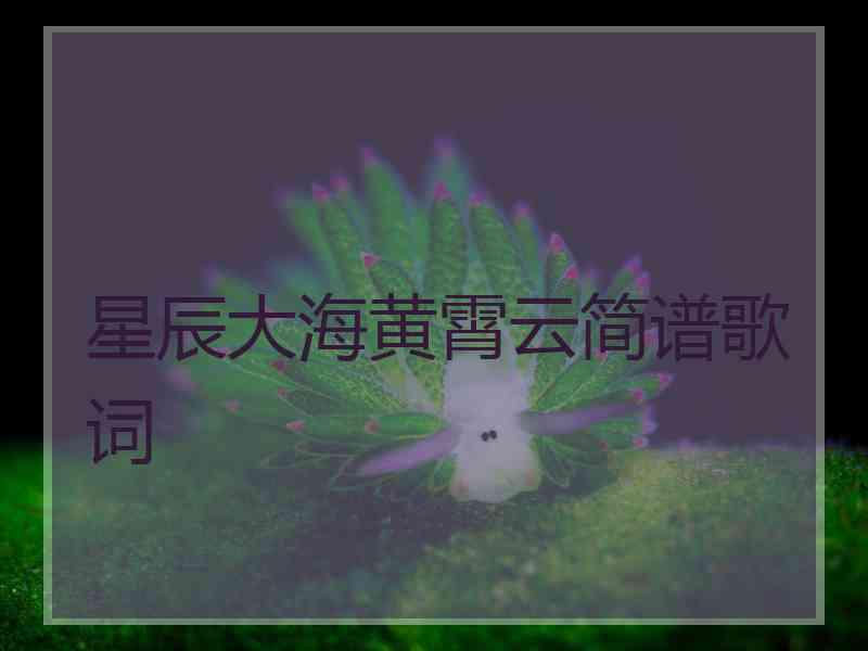 星辰大海黄霄云简谱歌词