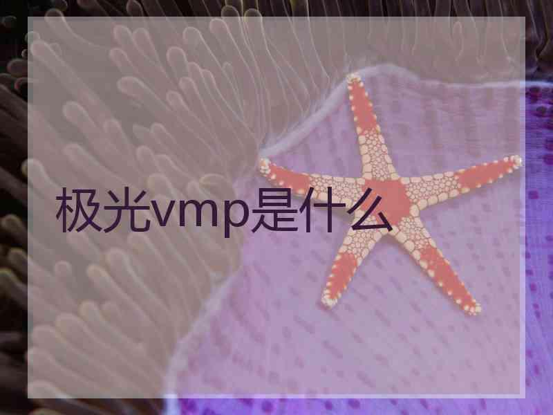 极光vmp是什么