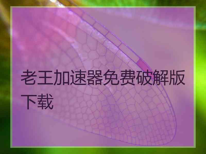 老王加速器免费破解版下载