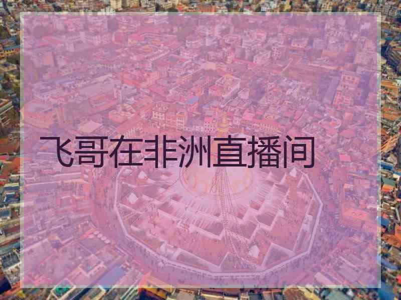 飞哥在非洲直播间