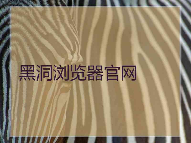 黑洞浏览器官网