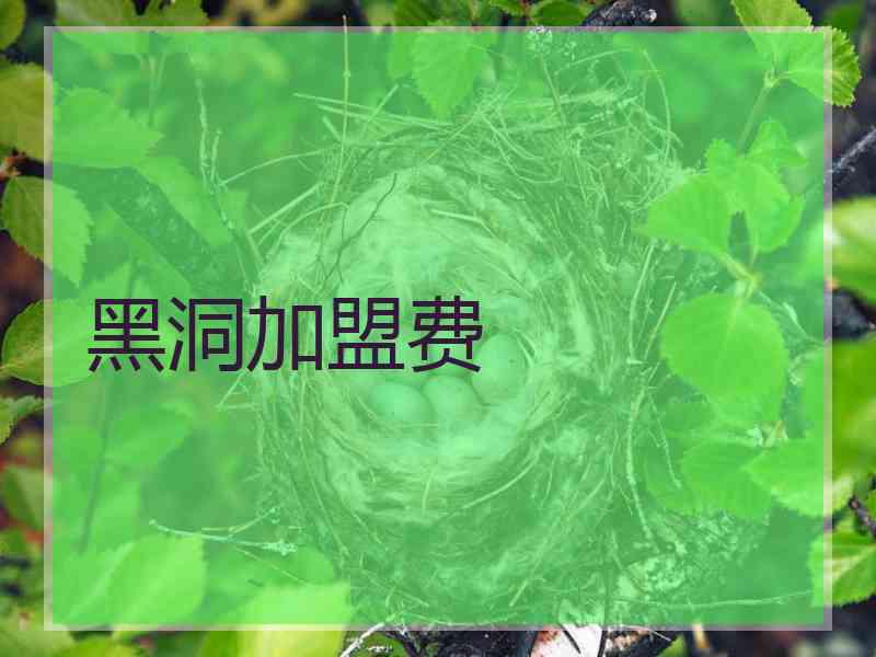 黑洞加盟费