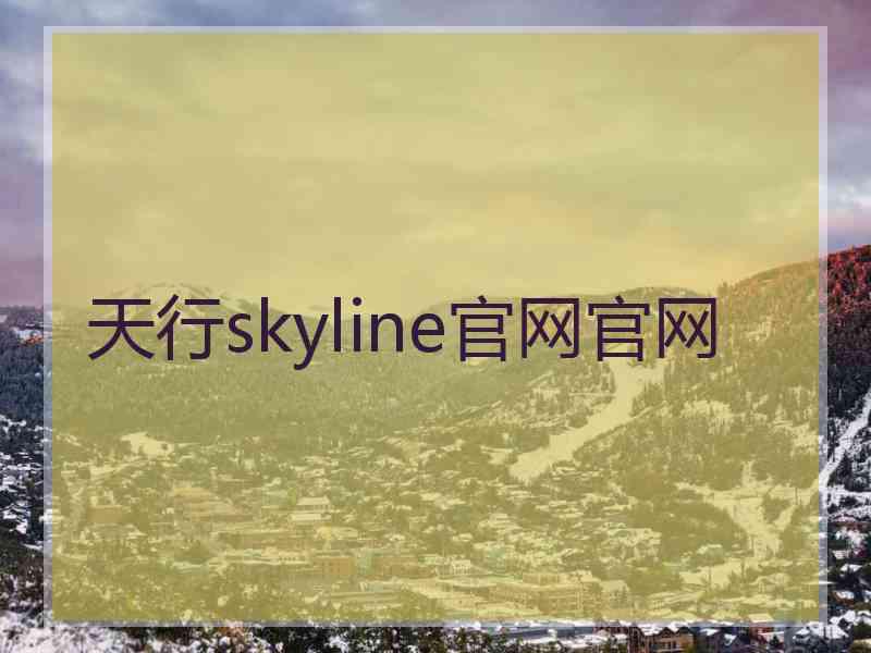 天行skyline官网官网