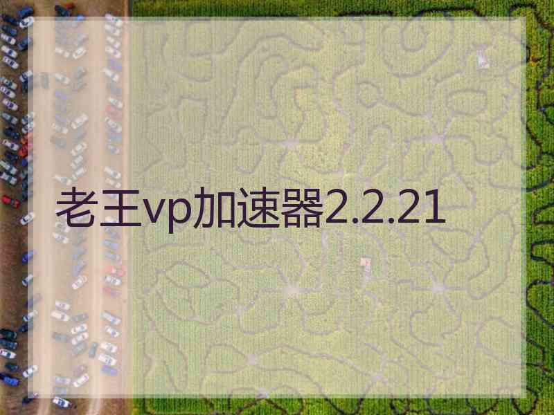 老王vp加速器2.2.21