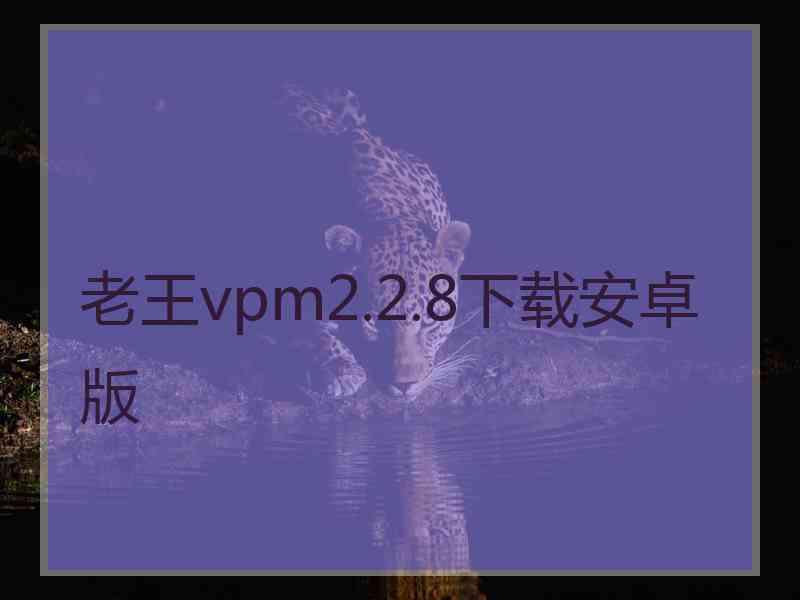 老王vpm2.2.8下载安卓版