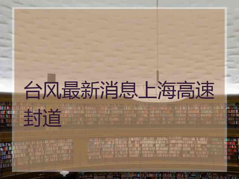 台风最新消息上海高速封道
