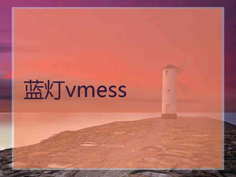 蓝灯vmess